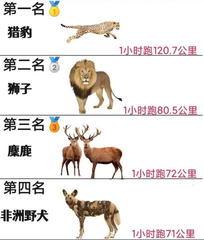 世界上跑得最快的动物