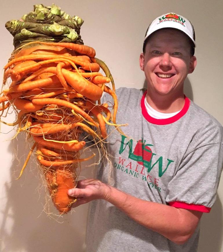 世界上最大的胡萝卜